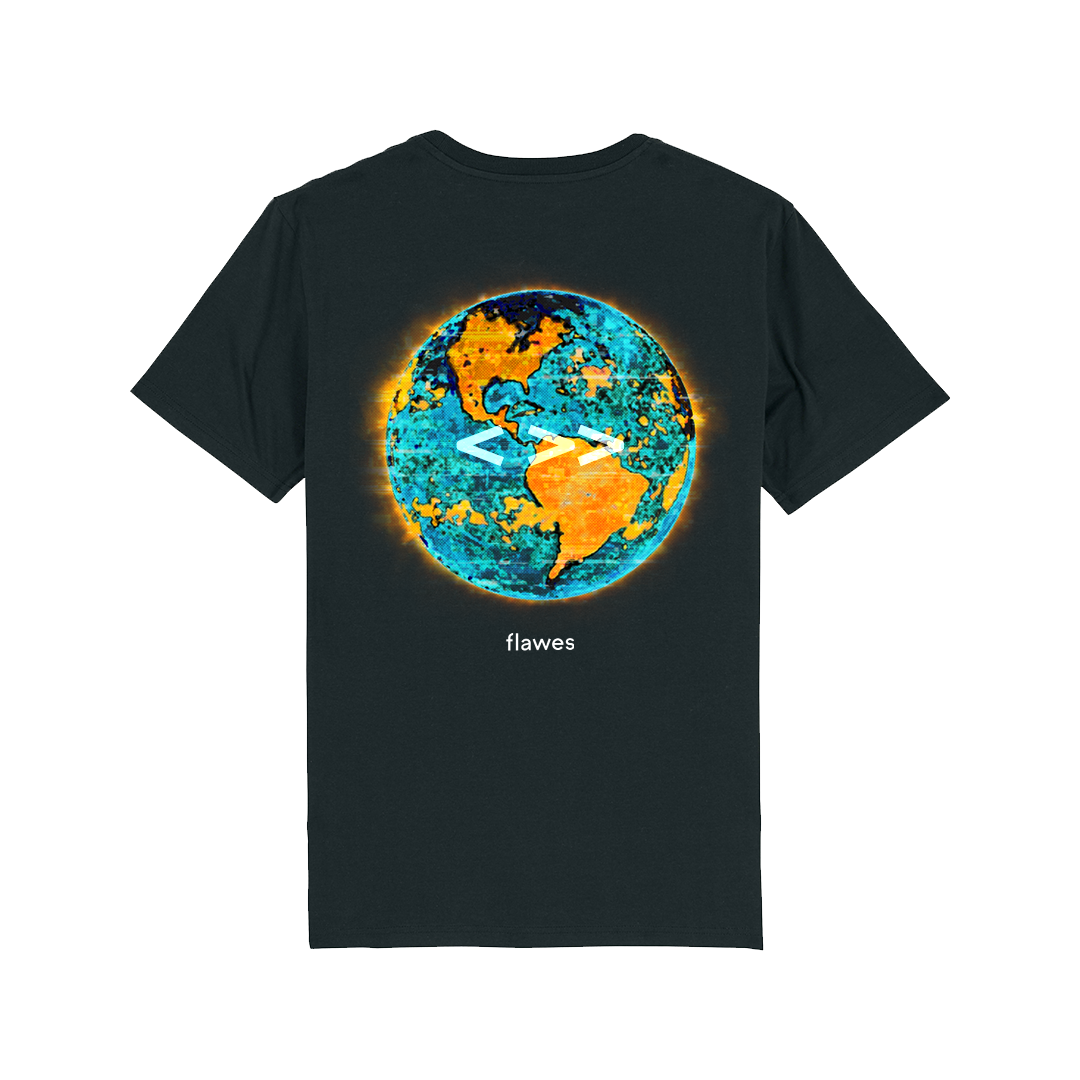 Flawes - One Step Back, Two Steps Forward (T-shirt)
