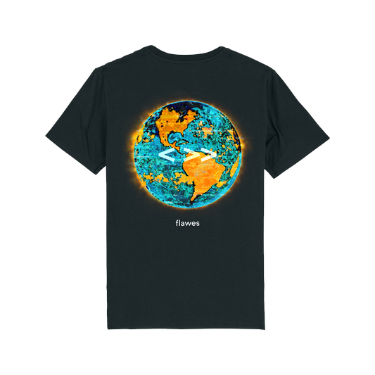 Flawes - One Step Back, Two Steps Forward (T-shirt)