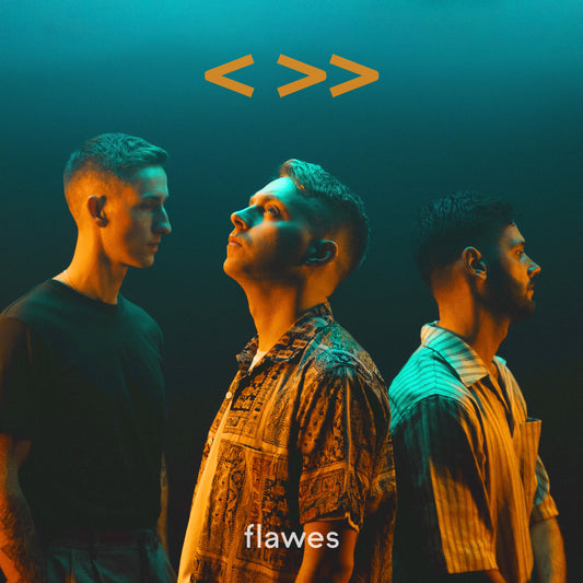 Flawes -  One Step Back, Two Steps Forward CD