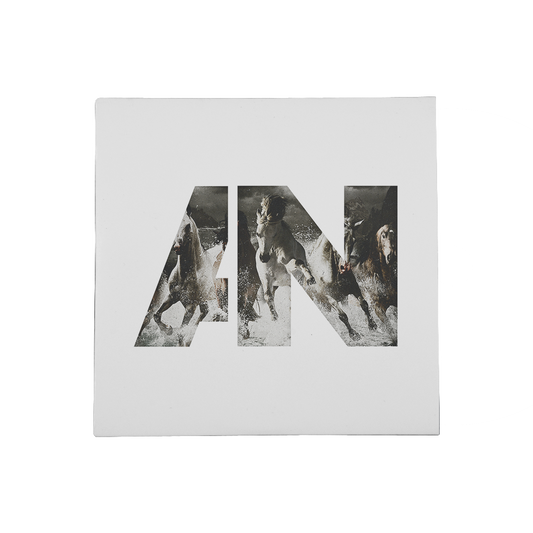 AWOLNATION Run CD