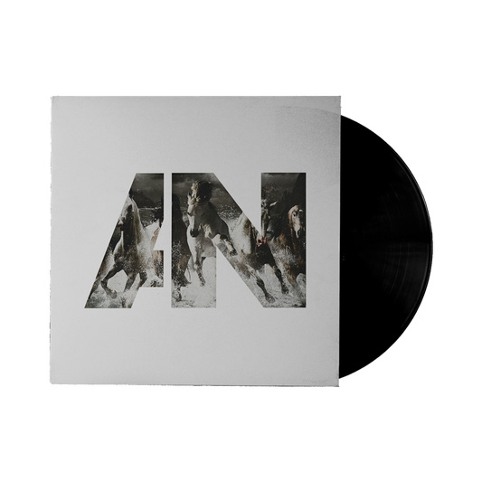 AWOLNATION Run Vinyl LP